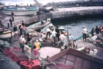 Boats departure for Nightingale