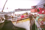 Boats in harbour