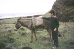 Martin Lewis himself and donkey